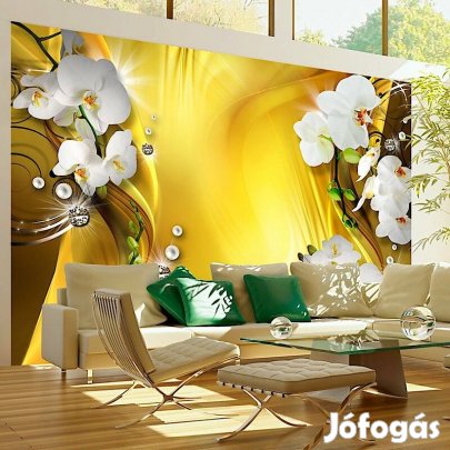 Fotótapéta - Bearanyozva