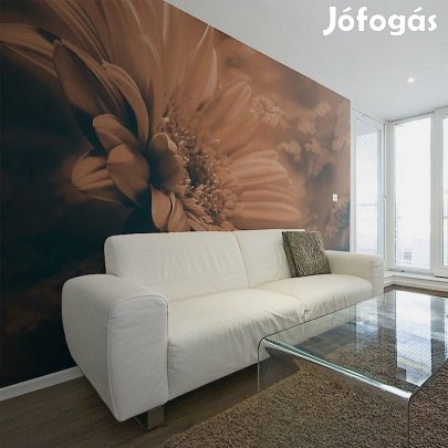 Fotótapéta - Bebarnulva