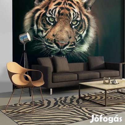 Fotótapéta - Bengáli tigris