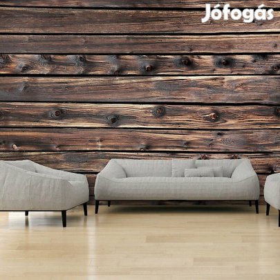 Fotótapéta - Biztonságos fészek 1