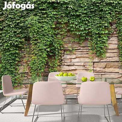 Fotótapéta - Borostyán téglafalon 2