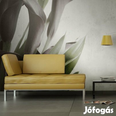 Fotótapéta - Borús hangulatban