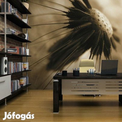 Fotótapéta - Borús világ