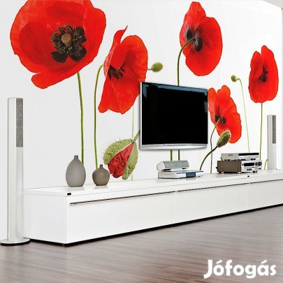 Fotótapéta - Csak mi vagyunk