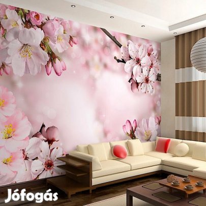 Fotótapéta - Cseresznyefa virág