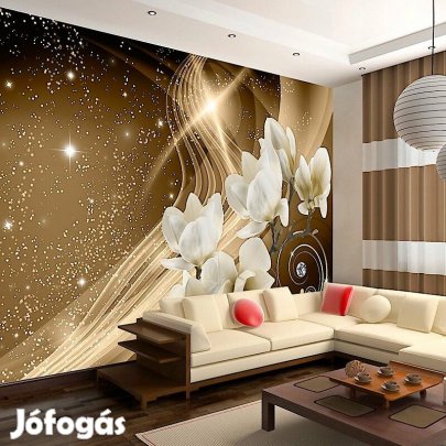 Fotótapéta - Csillagok közt