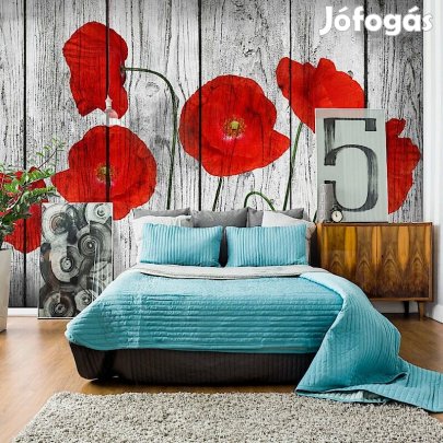 Fotótapéta - Deszkára tapadva