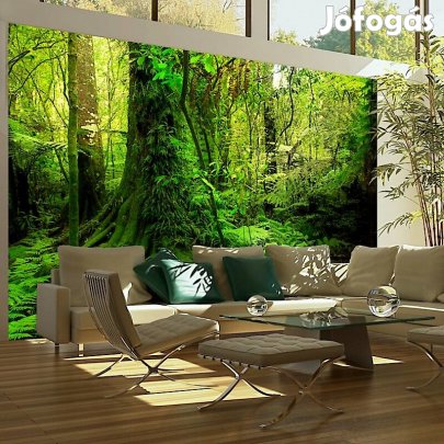 Fotótapéta - Dzsungel