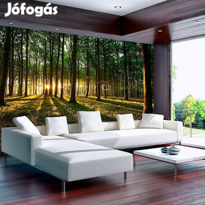 Fotótapéta - Ébredő erdő