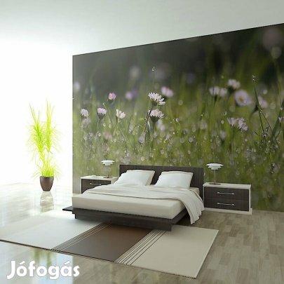 Fotótapéta - Ébresztő