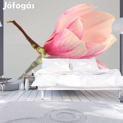 Fotótapéta - Egyedül