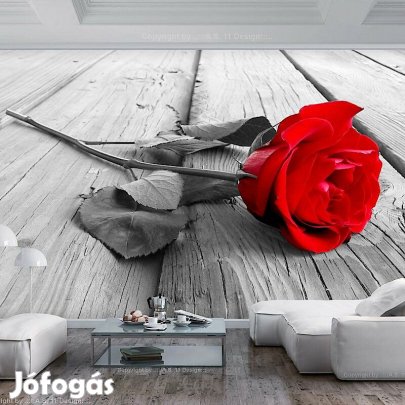Fotótapéta - Eldobott rózsa