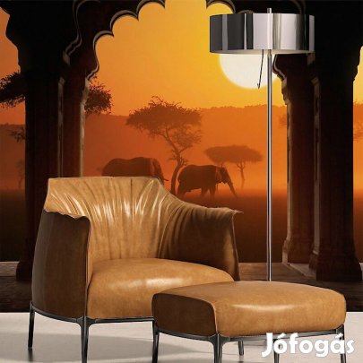 Fotótapéta - Elefántok a naplementében