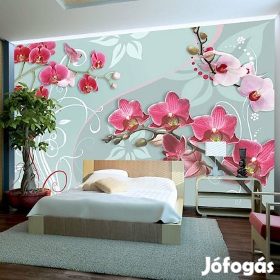 Fotótapéta - Élénk színvilág