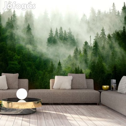 Fotótapéta - Előbújó erdő 1