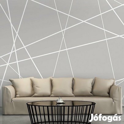 Fotótapéta - Elszakadt háló