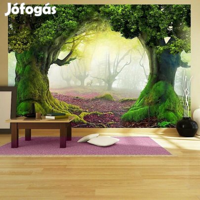 Fotótapéta - Elvarázsolt erdő