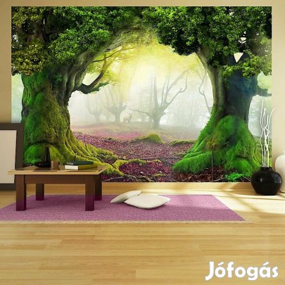 Fotótapéta - Elvarázsolt erdő
