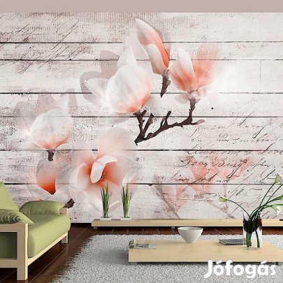 Fotótapéta - Enyhe Magnóliák 2