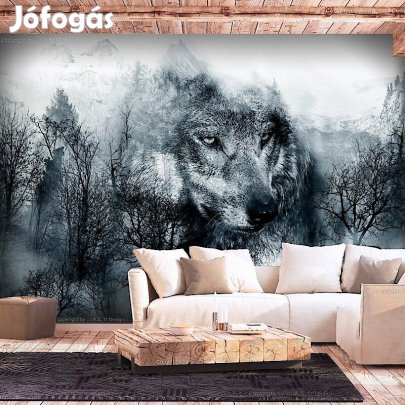 Fotótapéta - Erdei farkas (fekete-fehér)