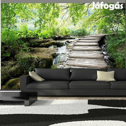 Fotótapéta - Erdei hidakon