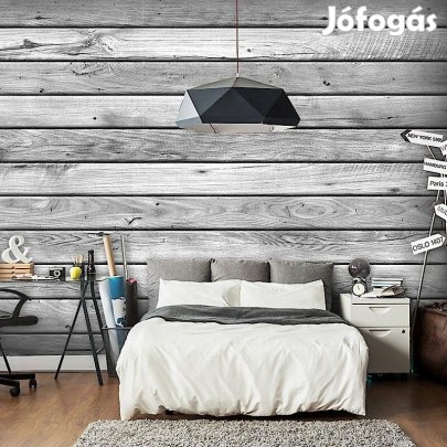 Fotótapéta - Erdei kompozíció 4