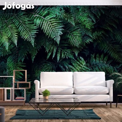 Fotótapéta - Erdei mélység