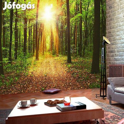 Fotótapéta - Erdei ösvény