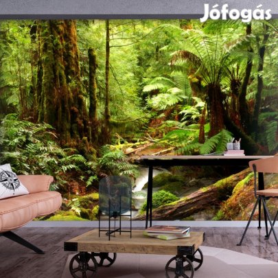 Fotótapéta - Erdei patak