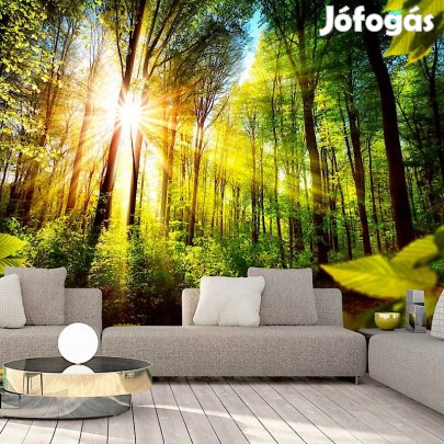 Fotótapéta - Erdei rejtekhely 1