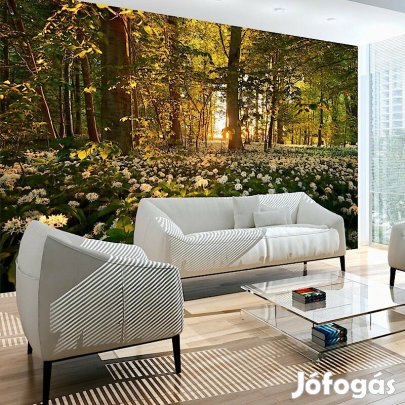 Fotótapéta - Erdei virágok