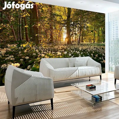 Fotótapéta - Erdei virágok