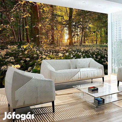 Fotótapéta - Erdei virágok