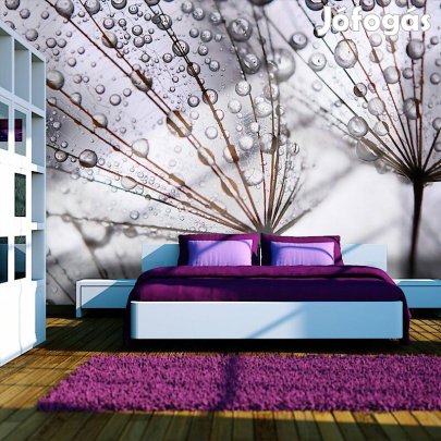 Fotótapéta - Eső áztatva 2