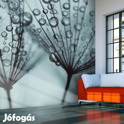 Fotótapéta - Eső áztatva