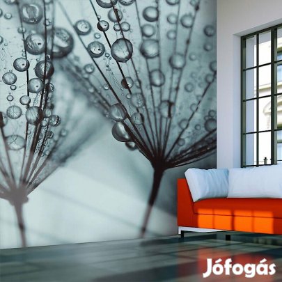 Fotótapéta - Eső áztatva