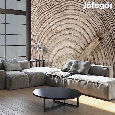 Fotótapéta - Évgyűrűk