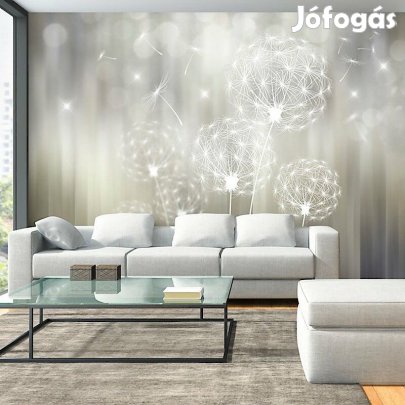 Fotótapéta - Ezüstösen