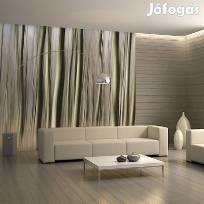 Fotótapéta - Fakó törzs