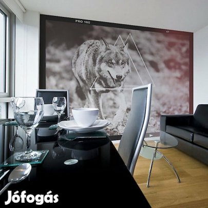 Fotótapéta - Farkas