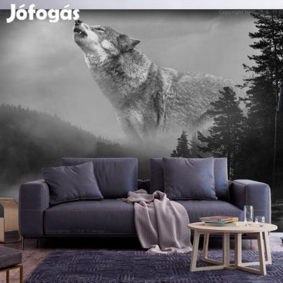 Fotótapéta - Farkas az erdő ura
