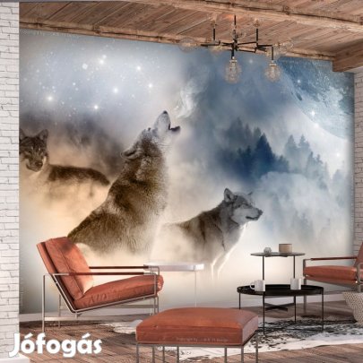 Fotótapéta - Farkas falka