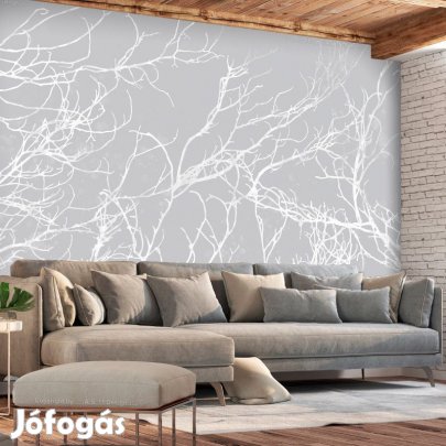 Fotótapéta - Fehér fák