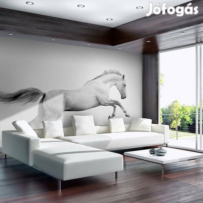 Fotótapéta - Fehér galopp