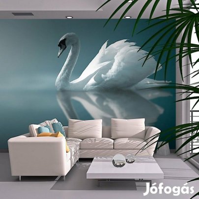 Fotótapéta - Fehér hattyú