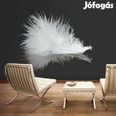 Fotótapéta - Fehér toll