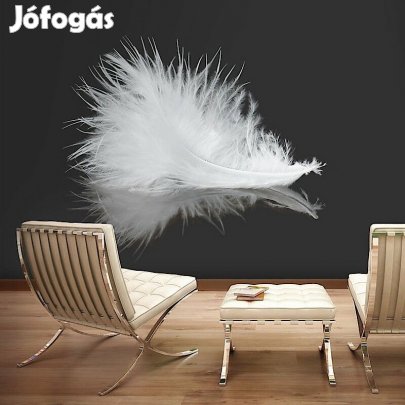 Fotótapéta - Fehér toll