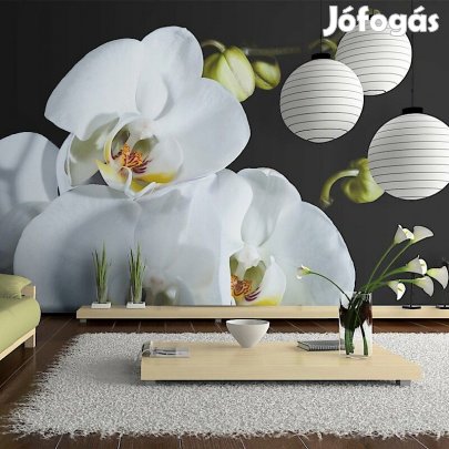 Fotótapéta - Fehéren, feketén