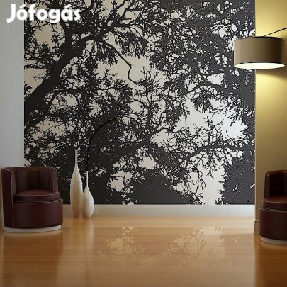 Fotótapéta - Fekete, fehér erdő