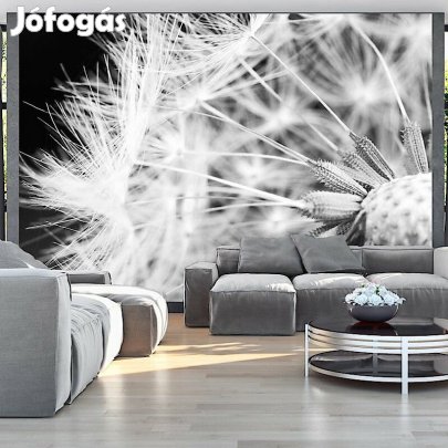 Fotótapéta - Fekete-fehér Pitypang 2